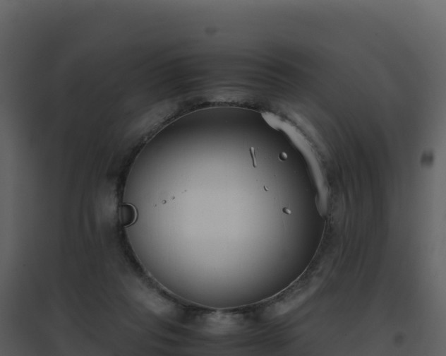 X0000096650261200802121139
