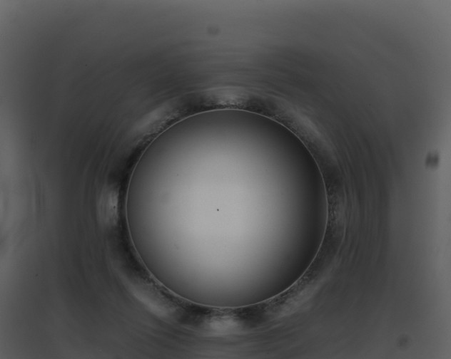 X0000096650262200802121139