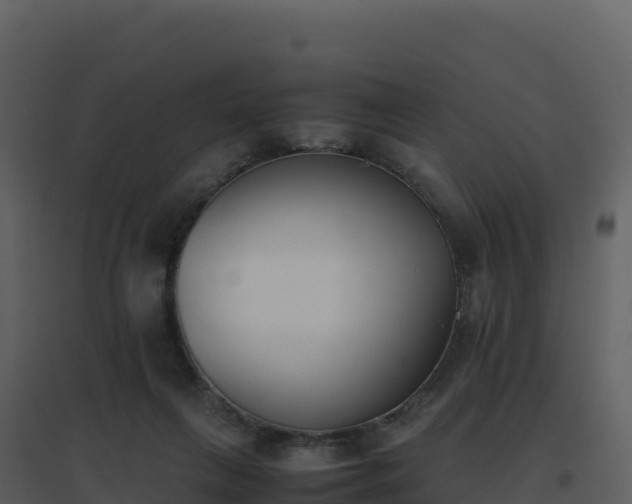 X0000096650263200802121139