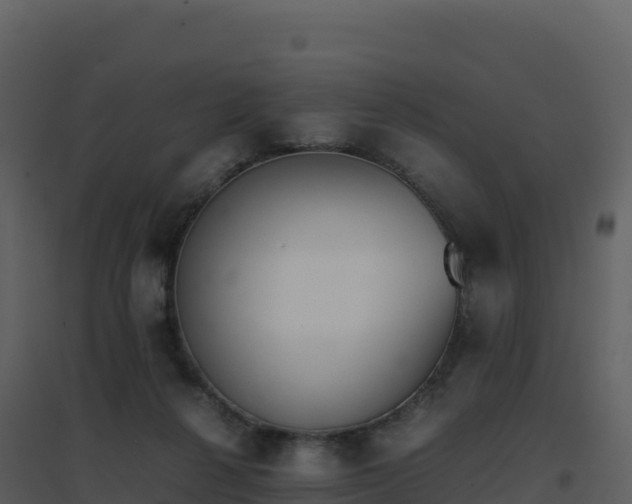 X0000096650264200802121139
