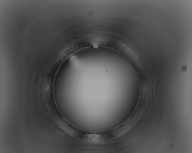 X0000096650265200802121139