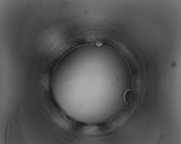 X0000096650266200802121139