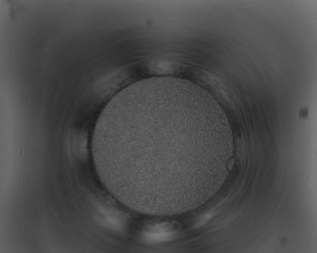 X0000096650267200802121139