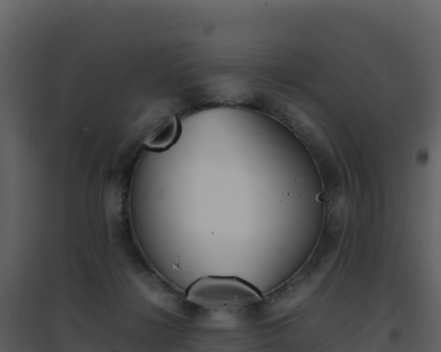 X0000096650268200802121139
