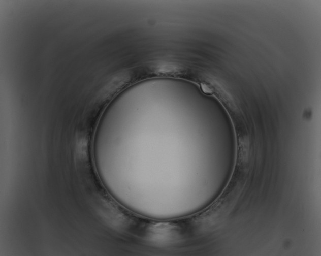 X0000096650269200802121139