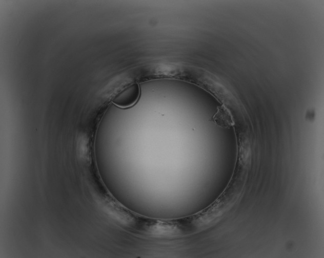 X0000096650270200802121139