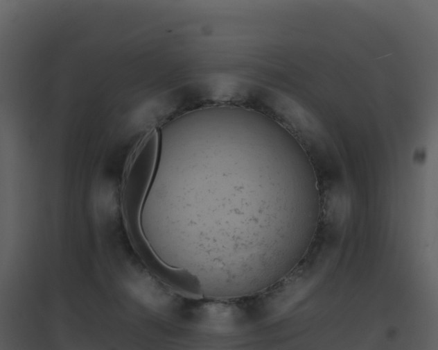 X0000096650272200802121139