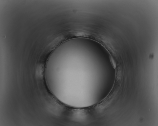 X0000096650273200802121139