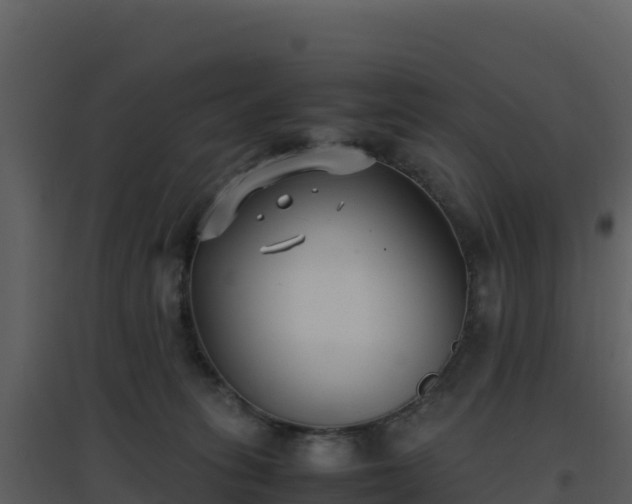 X0000096650275200802121139