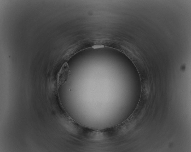 X0000096650276200802121139