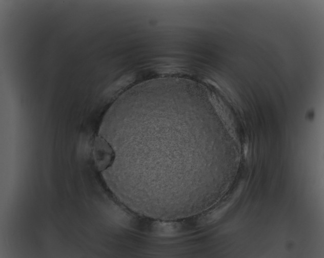 X0000096650277200802121139