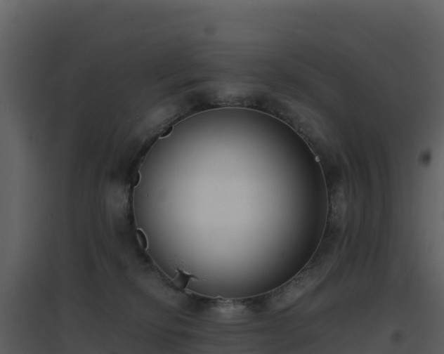 X0000096650278200802121139