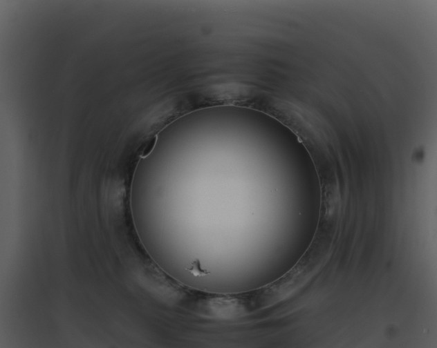 X0000096650279200802121139