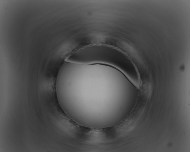 X0000096650280200802121139