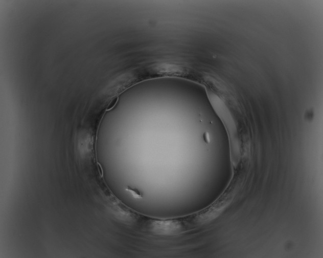 X0000096650281200802121139
