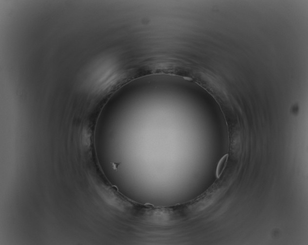X0000096650282200802121139