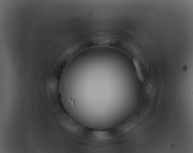 X0000096650283200802121139