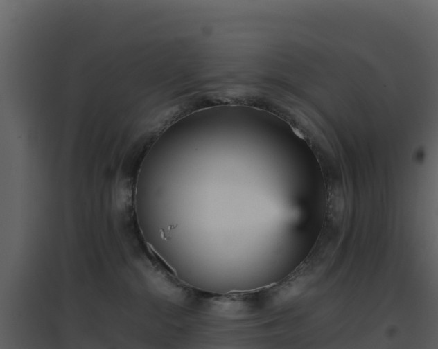 X0000096650284200802121139