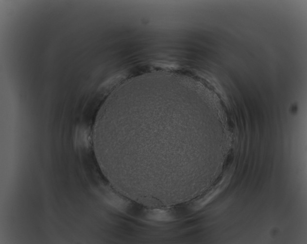 X0000096650285200802121139