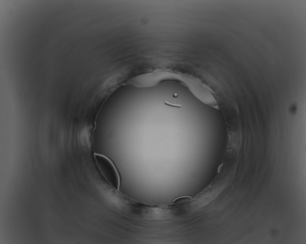 X0000096650286200802121139
