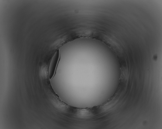 X0000096650287200802121139