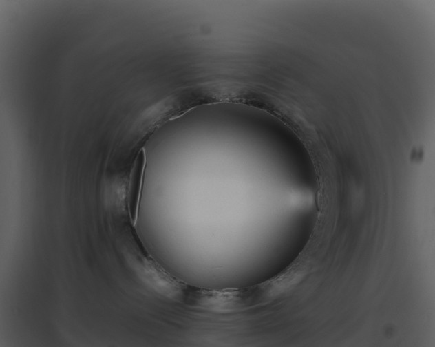 X0000096650288200802121139