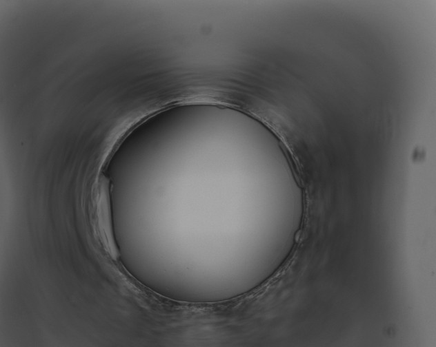 X0000096650289200802121139