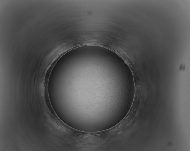 X0000096650290200802121139