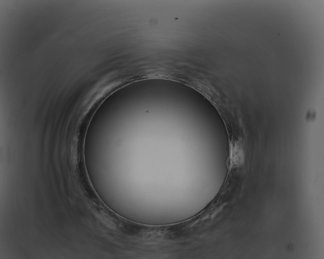 X0000096650291200802121139