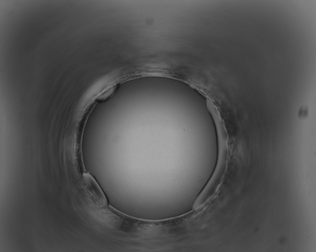 X0000096650293200802121139