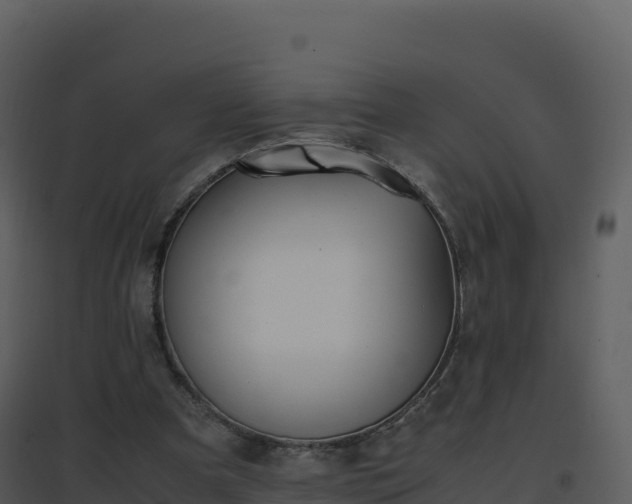 X0000096650297200802121139