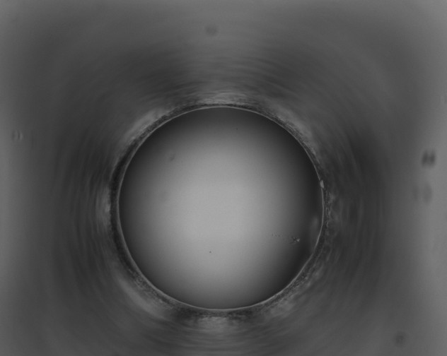 X0000096650298200802121139