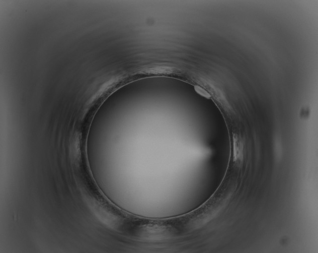 X0000096650300200802121139