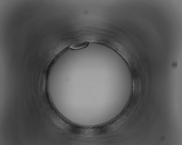 X0000096650301200802121139