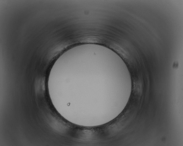 X0000096650302200802121138