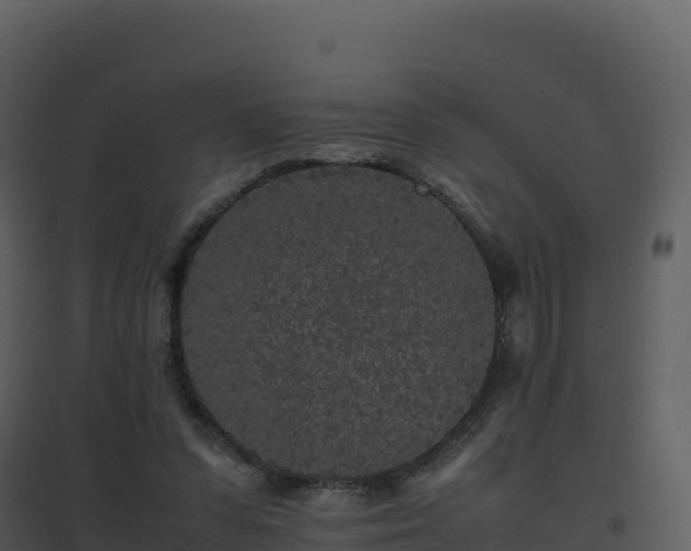 X0000096650303200802121138