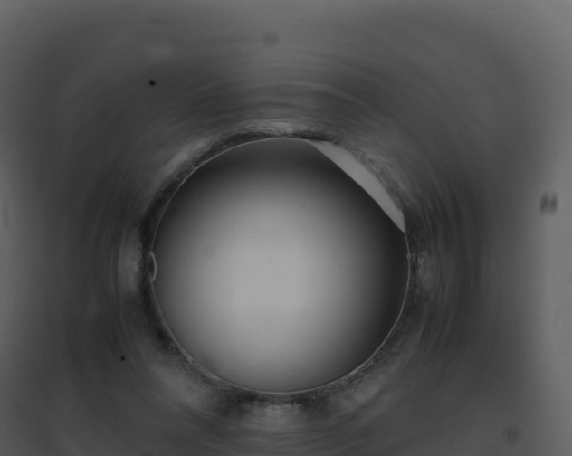 X0000096650304200802121138
