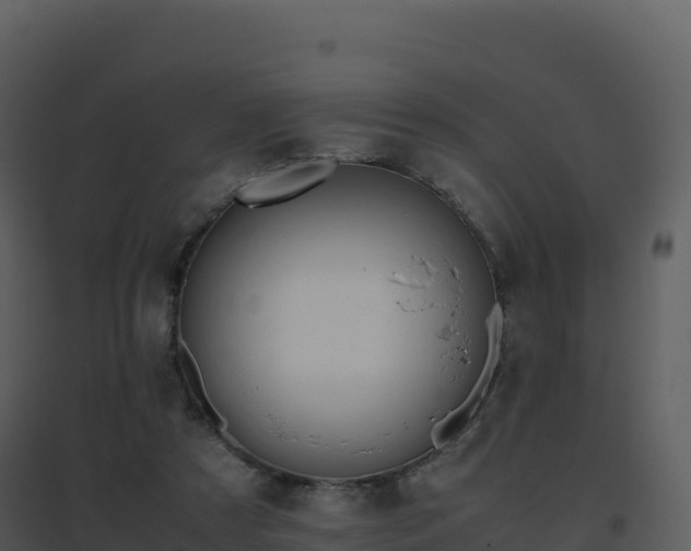 X0000096650305200802121138