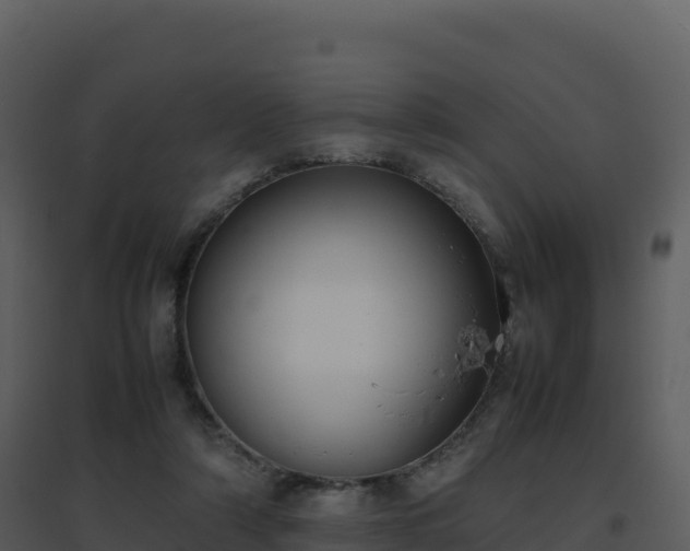 X0000096650306200802121138