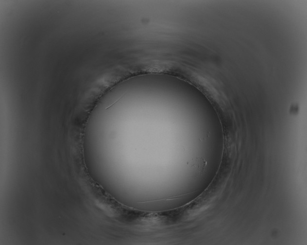 X0000096650307200802121138