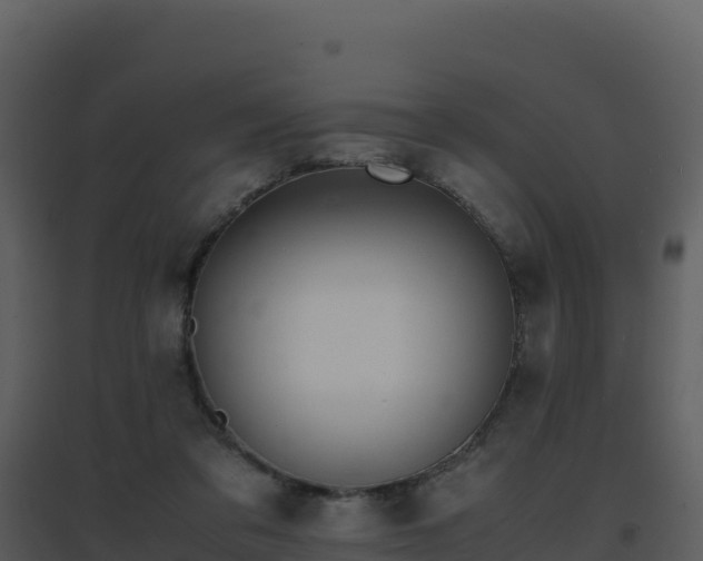 X0000096650309200802121138