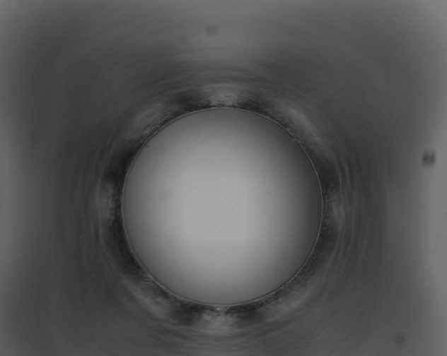 X0000096650311200802121138