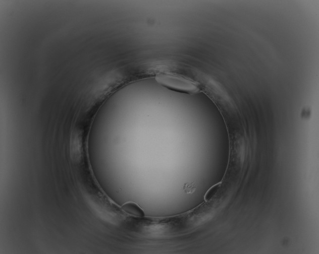 X0000096650312200802121138