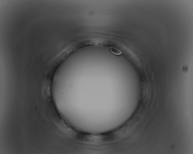 X0000096650313200802121138