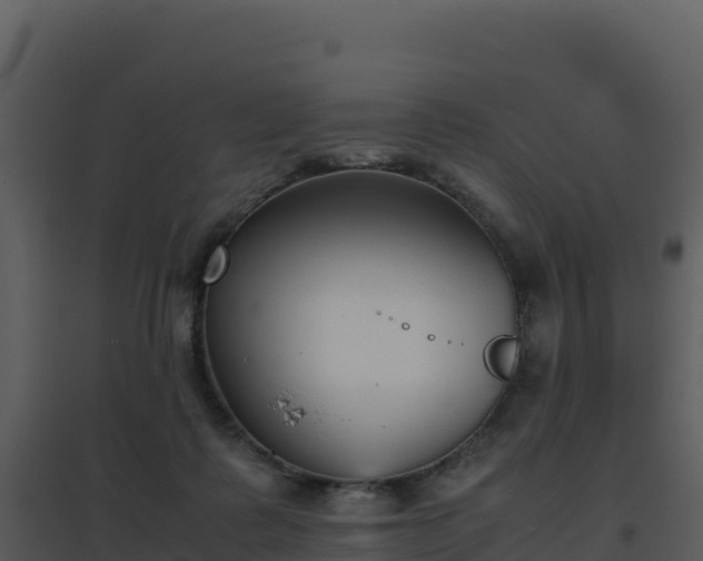 X0000096650315200802121138