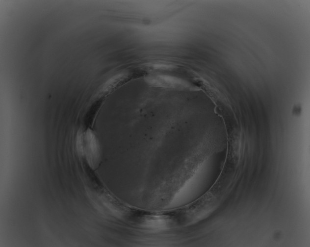X0000096650316200802121138