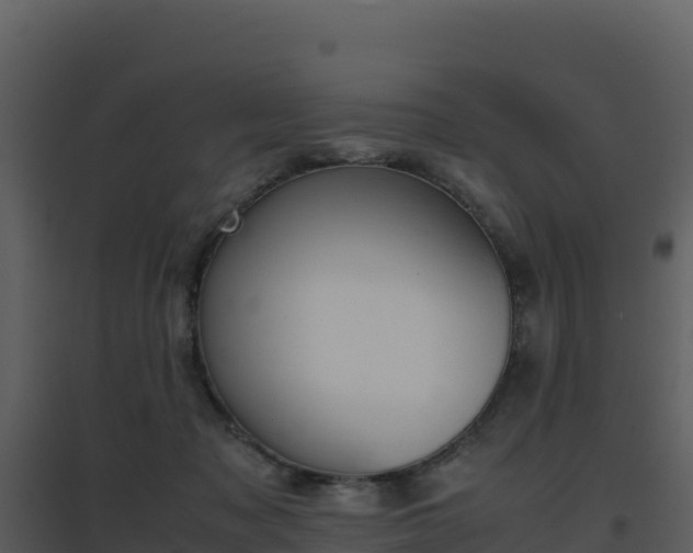 X0000096650317200802121138