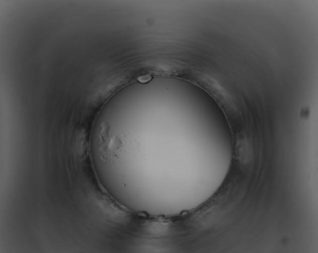 X0000096650318200802121138