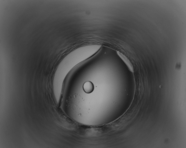 X0000096650320200802121138