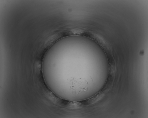 X0000096650321200802121138